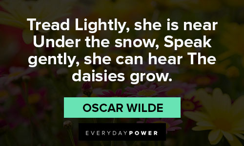 Other daisy quotes