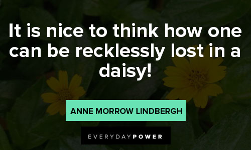 daisy quotes on it is nice to think how one can be recklessly lost in a daisy