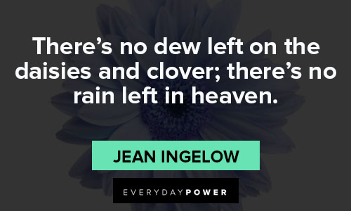 daisy quotes about there's no rain left in heaven