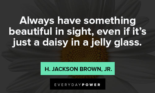 daisy quotes about beautiful 
