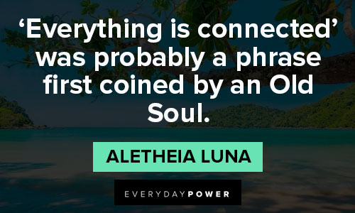 old soul quotes on everything is connected
