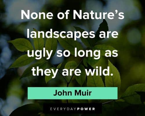 John Muir quotes about nature and national parks