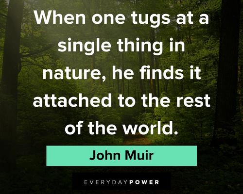 John Muir quotes about the rest of the world