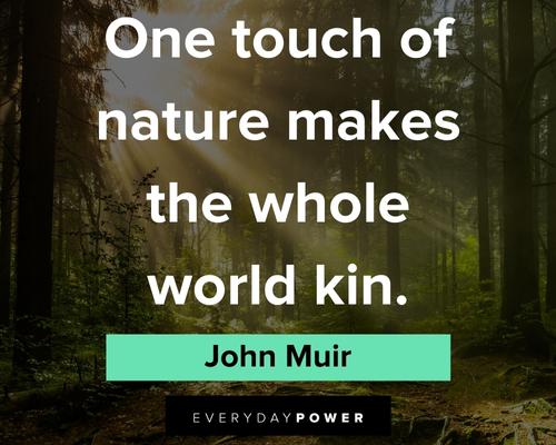 John Muir quotes on one touch of nature makes the whole world kin
