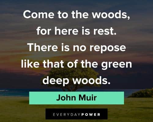 John Muir quotes about come to woods