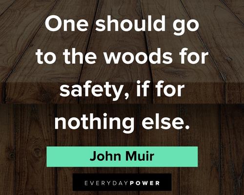 John Muir quotes about one should go to the woods for safety, if for nothing else
