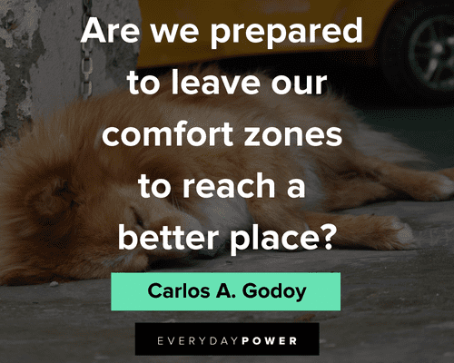 comfort zone quotes to leave our comfort zones to reach a better place