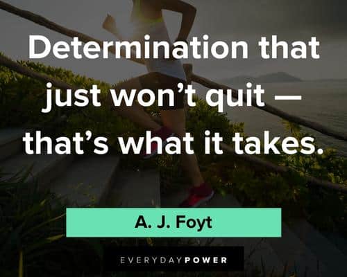 more wise quotes on determination