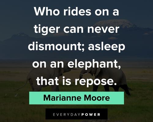 elephant quotes from Marianne Moore