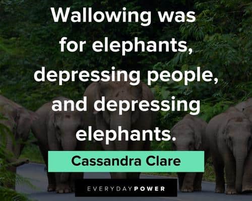 elephant quotes about wallowing was for elephant