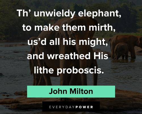 elephant quotes to inspire