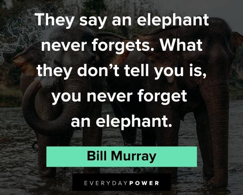 Motivation elephant quotes