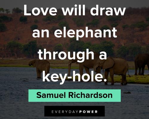 elephant quotes about love 