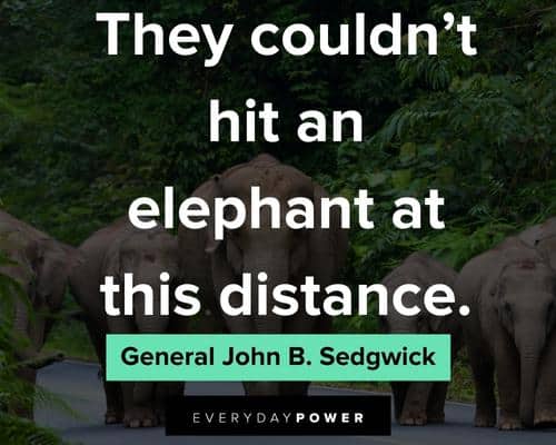 elephant quotes about they couldn't hit an elephant at this distance