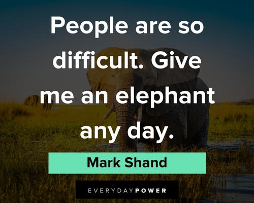 elephant quotes about give me an elephant any day