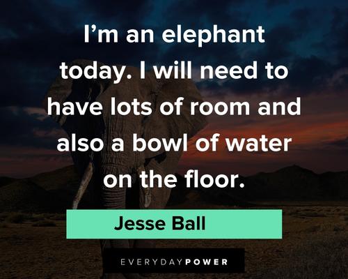 elephant quotes about bowl of water