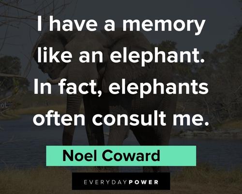 famous elephant quotes