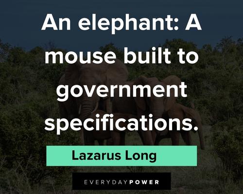 elephant quotes to goverment specifications