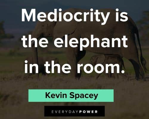 elephant quotes about medioccrity is the elephant in the room