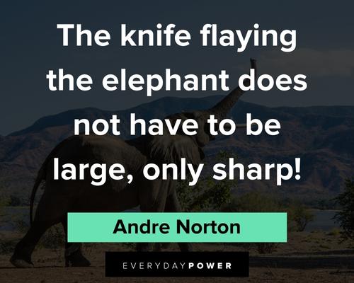 elephant quotes about the knife flaying