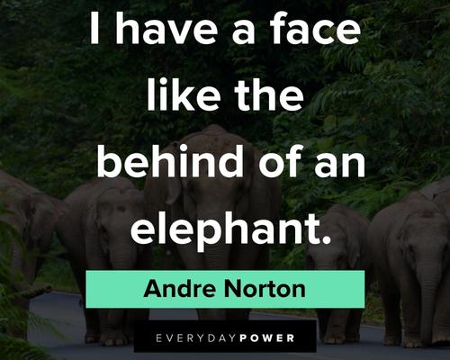 elephant quotes about face like the behind of an elephant
