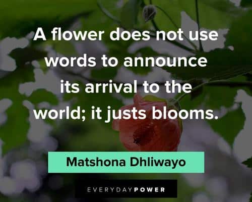 flower quotes to announce it's arrival to the world