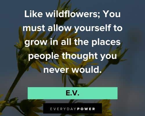 flower quotes about wildflowers