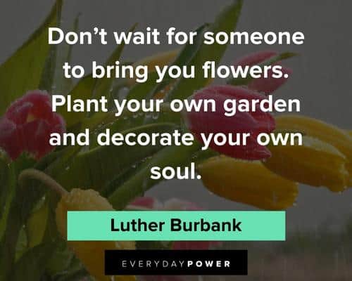 flower quotes for someone to bring you flowers