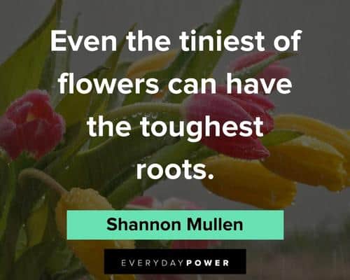 flower quotes about even the tiniest of flowers can have the toughest roots