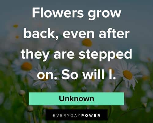 flower quotes about flowers grow back