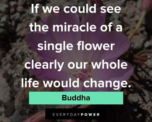 flower quotes about the miracle of a single flower