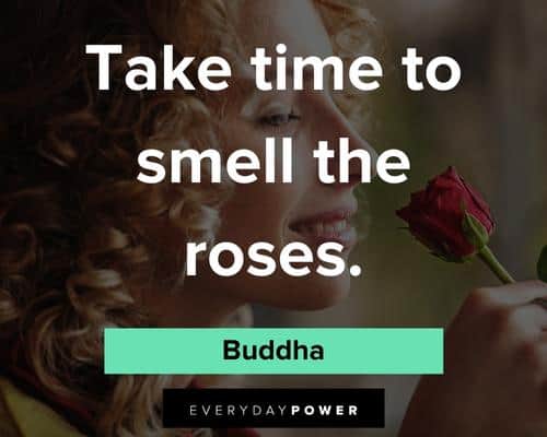 flower quotes about take time to smell the roses