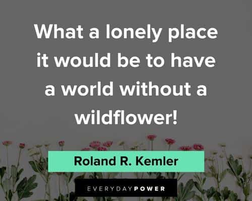 flower quotes what a lonely place it would be to have a world without a wildflower