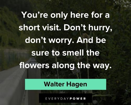 flower quotes to smell the flowers along the way