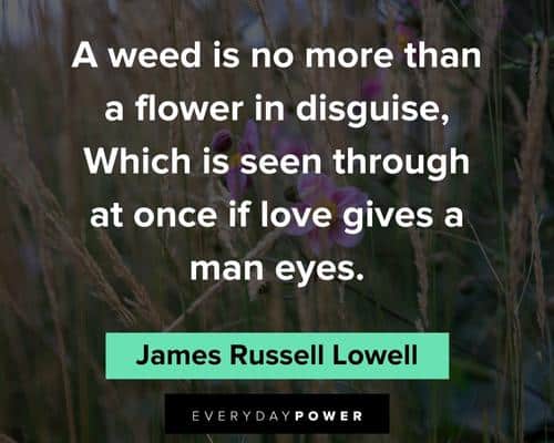 flower quotes from James Russell Lowell