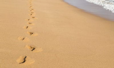 Footprints In The Sand Quotes For Covering New Tracks