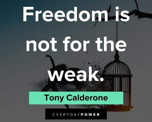 Freedom Quotes on freedom is not for the weak