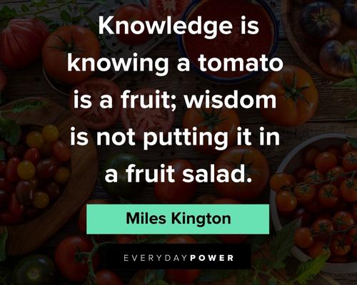 fruit quotes and saying on life lessons