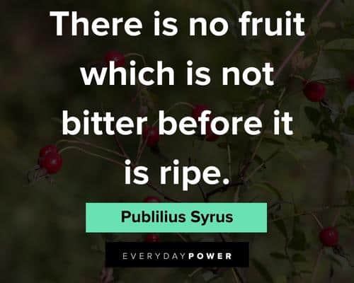 fruit quotes about there is no fruit which is not bitter before it is ripe