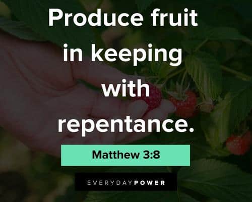 fruit quotes from the Bible