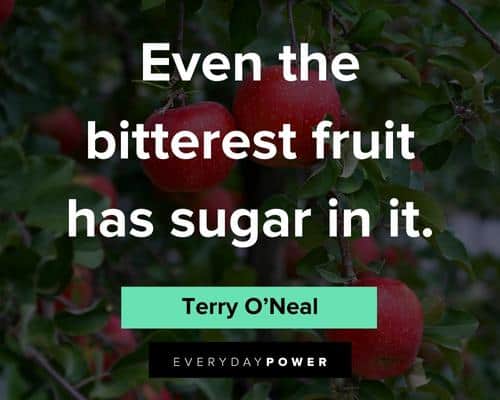 witty and funny fruit quotes