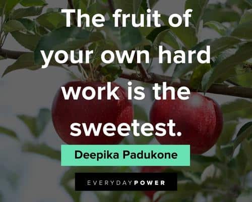 fruit quotes on the fruit of your own hard work is the sweetest