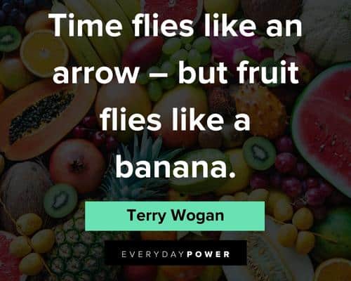 fruit quotes on time flies like an arrow but fruit flies like a banana