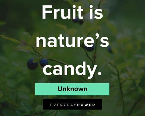 fruit quotes on fruit is nature's candy