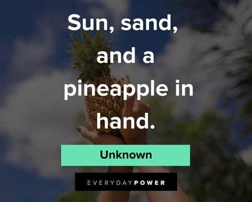 fruit quotes on sun, sand and a pineapple