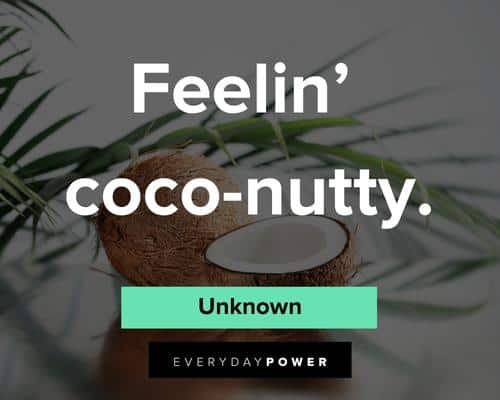 fruit quotes about feeling coco-nutty