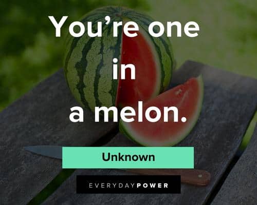 fruit quotes on you're one in a melon