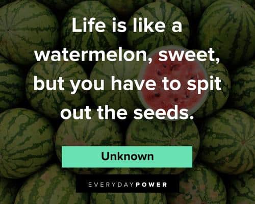 fruit quotes about life is like a watermelon