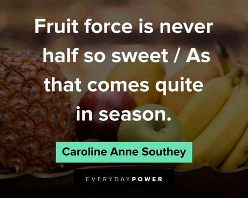 fruit quotes about fruit force is never half so sweet