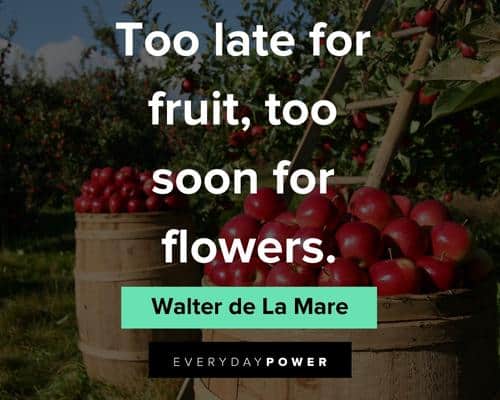 fruit quotes about too late for fruit